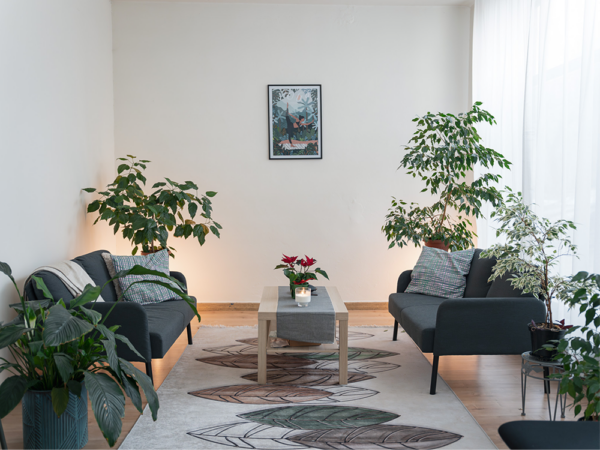 Nasze Studio 2025/26