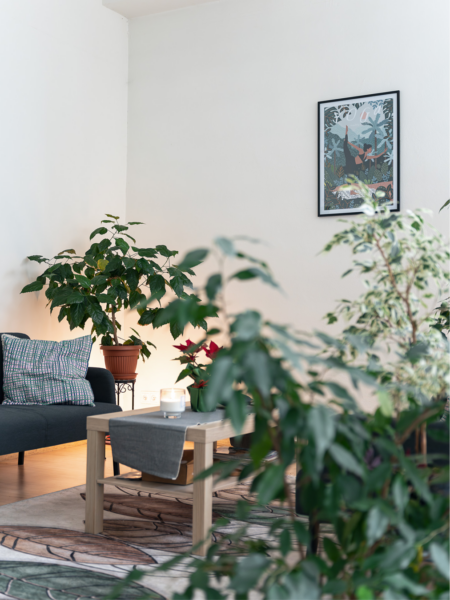 Nasze Studio 2025/26